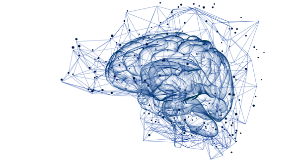Neuroleadership